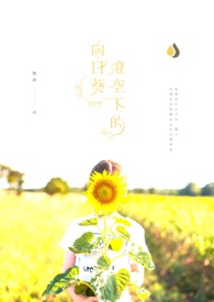 澄县向日葵